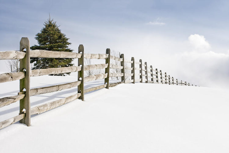 Fence Installation Austin