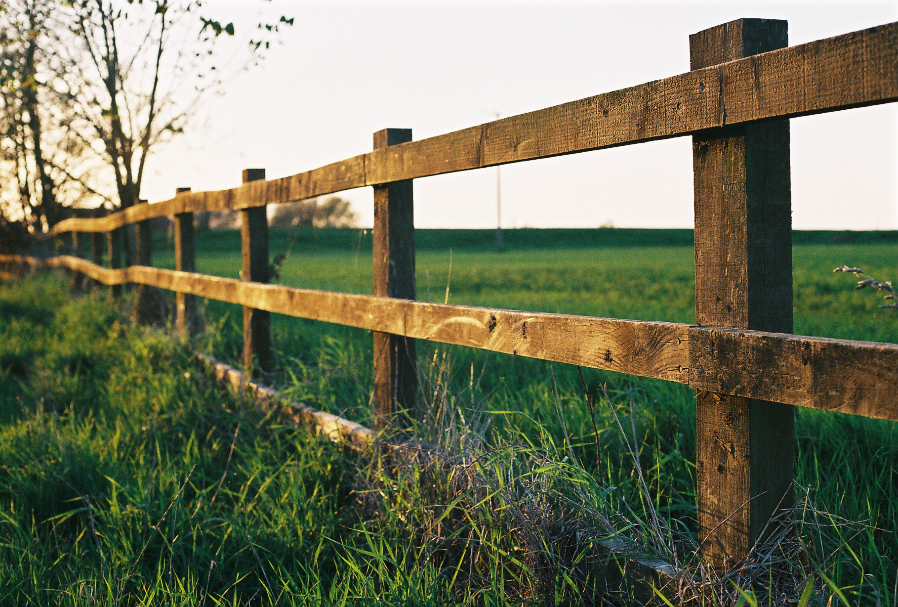 Fencing And Automatic Gates